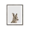 Picture of Kangaroo    _GroupedProduct_Rectangle_Portrait_Mini_ _GroupedProduct_Rectangle_Portrait_Framed_Matted_