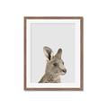 Picture of Kangaroo    _GroupedProduct_Rectangle_Portrait_Mini_ _GroupedProduct_Rectangle_Portrait_Framed_Matted_