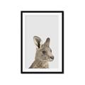Picture of Kangaroo    _GroupedProduct_Rectangle_Portrait_Mini_ _GroupedProduct_Rectangle_Portrait_Framed_Matted_