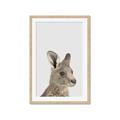 Picture of Kangaroo    _GroupedProduct_Rectangle_Portrait_Mini_ _GroupedProduct_Rectangle_Portrait_Framed_Matted_