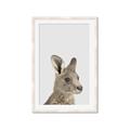 Picture of Kangaroo    _GroupedProduct_Rectangle_Portrait_Mini_ _GroupedProduct_Rectangle_Portrait_Framed_Matted_
