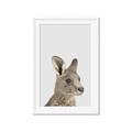 Picture of Kangaroo    _GroupedProduct_Rectangle_Portrait_Mini_ _GroupedProduct_Rectangle_Portrait_Framed_Matted_