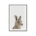 Picture of Kangaroo    _GroupedProduct_Rectangle_Portrait_Mini_ _GroupedProduct_Rectangle_Portrait_Framed_Matted_