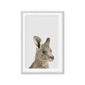 Picture of Kangaroo    _GroupedProduct_Rectangle_Portrait_Mini_ _GroupedProduct_Rectangle_Portrait_Framed_Matted_