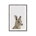 Picture of Kangaroo    _GroupedProduct_Rectangle_Portrait_Mini_ _GroupedProduct_Rectangle_Portrait_Framed_Matted_