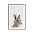 Picture of Kangaroo    _GroupedProduct_Rectangle_Portrait_Mini_ _GroupedProduct_Rectangle_Portrait_Framed_Matted_