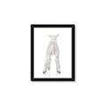 Picture of Behind Lamb _GroupedProduct_Rectangle_Portrait_Mini_ _GroupedProduct_Rectangle_Portrait_Framed_Matted_