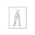 Picture of Behind Lamb _GroupedProduct_Rectangle_Portrait_Mini_ _GroupedProduct_Rectangle_Portrait_Framed_Matted_