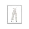 Picture of Behind Lamb _GroupedProduct_Rectangle_Portrait_Mini_ _GroupedProduct_Rectangle_Portrait_Framed_Matted_
