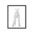 Picture of Behind Lamb _GroupedProduct_Rectangle_Portrait_Mini_ _GroupedProduct_Rectangle_Portrait_Framed_Matted_