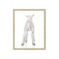 Picture of Behind Lamb _GroupedProduct_Rectangle_Portrait_Mini_ _GroupedProduct_Rectangle_Portrait_Framed_Matted_