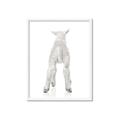 Picture of Behind Lamb _GroupedProduct_Rectangle_Portrait_Mini_ _GroupedProduct_Rectangle_Portrait_Framed_Matted_