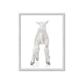 Picture of Behind Lamb _GroupedProduct_Rectangle_Portrait_Mini_ _GroupedProduct_Rectangle_Portrait_Framed_Matted_