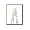 Picture of Behind Lamb _GroupedProduct_Rectangle_Portrait_Mini_ _GroupedProduct_Rectangle_Portrait_Framed_Matted_