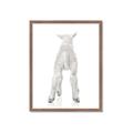 Picture of Behind Lamb _GroupedProduct_Rectangle_Portrait_Mini_ _GroupedProduct_Rectangle_Portrait_Framed_Matted_