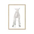 Picture of Behind Lamb _GroupedProduct_Rectangle_Portrait_Mini_ _GroupedProduct_Rectangle_Portrait_Framed_Matted_