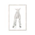 Picture of Behind Lamb _GroupedProduct_Rectangle_Portrait_Mini_ _GroupedProduct_Rectangle_Portrait_Framed_Matted_