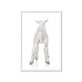 Picture of Behind Lamb _GroupedProduct_Rectangle_Portrait_Mini_ _GroupedProduct_Rectangle_Portrait_Framed_Matted_