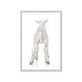 Picture of Behind Lamb _GroupedProduct_Rectangle_Portrait_Mini_ _GroupedProduct_Rectangle_Portrait_Framed_Matted_