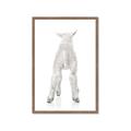 Picture of Behind Lamb _GroupedProduct_Rectangle_Portrait_Mini_ _GroupedProduct_Rectangle_Portrait_Framed_Matted_