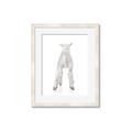 Picture of Behind Lamb _GroupedProduct_Rectangle_Portrait_Mini_ _GroupedProduct_Rectangle_Portrait_Framed_Matted_
