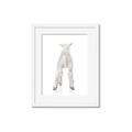 Picture of Behind Lamb _GroupedProduct_Rectangle_Portrait_Mini_ _GroupedProduct_Rectangle_Portrait_Framed_Matted_