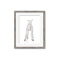 Picture of Behind Lamb _GroupedProduct_Rectangle_Portrait_Mini_ _GroupedProduct_Rectangle_Portrait_Framed_Matted_