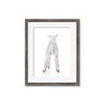 Picture of Behind Lamb _GroupedProduct_Rectangle_Portrait_Mini_ _GroupedProduct_Rectangle_Portrait_Framed_Matted_