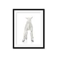 Picture of Behind Lamb _GroupedProduct_Rectangle_Portrait_Mini_ _GroupedProduct_Rectangle_Portrait_Framed_Matted_