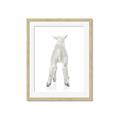 Picture of Behind Lamb _GroupedProduct_Rectangle_Portrait_Mini_ _GroupedProduct_Rectangle_Portrait_Framed_Matted_