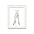 Picture of Behind Lamb _GroupedProduct_Rectangle_Portrait_Mini_ _GroupedProduct_Rectangle_Portrait_Framed_Matted_