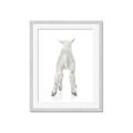 Picture of Behind Lamb _GroupedProduct_Rectangle_Portrait_Mini_ _GroupedProduct_Rectangle_Portrait_Framed_Matted_