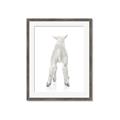Picture of Behind Lamb _GroupedProduct_Rectangle_Portrait_Mini_ _GroupedProduct_Rectangle_Portrait_Framed_Matted_