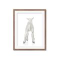 Picture of Behind Lamb _GroupedProduct_Rectangle_Portrait_Mini_ _GroupedProduct_Rectangle_Portrait_Framed_Matted_