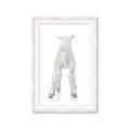 Picture of Behind Lamb _GroupedProduct_Rectangle_Portrait_Mini_ _GroupedProduct_Rectangle_Portrait_Framed_Matted_
