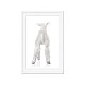 Picture of Behind Lamb _GroupedProduct_Rectangle_Portrait_Mini_ _GroupedProduct_Rectangle_Portrait_Framed_Matted_
