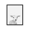 Picture of Farmhouse Sheep _GroupedProduct_Rectangle_Portrait_Mini_ _GroupedProduct_Rectangle_Portrait_Framed_Matted_