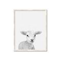 Picture of Farmhouse Sheep _GroupedProduct_Rectangle_Portrait_Mini_ _GroupedProduct_Rectangle_Portrait_Framed_Matted_