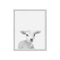 Picture of Farmhouse Sheep _GroupedProduct_Rectangle_Portrait_Mini_ _GroupedProduct_Rectangle_Portrait_Framed_Matted_