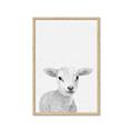 Picture of Farmhouse Sheep _GroupedProduct_Rectangle_Portrait_Mini_ _GroupedProduct_Rectangle_Portrait_Framed_Matted_