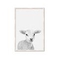 Picture of Farmhouse Sheep _GroupedProduct_Rectangle_Portrait_Mini_ _GroupedProduct_Rectangle_Portrait_Framed_Matted_