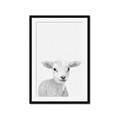 Picture of Farmhouse Sheep _GroupedProduct_Rectangle_Portrait_Mini_ _GroupedProduct_Rectangle_Portrait_Framed_Matted_