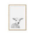 Picture of Farmhouse Sheep _GroupedProduct_Rectangle_Portrait_Mini_ _GroupedProduct_Rectangle_Portrait_Framed_Matted_