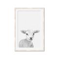 Picture of Farmhouse Sheep _GroupedProduct_Rectangle_Portrait_Mini_ _GroupedProduct_Rectangle_Portrait_Framed_Matted_