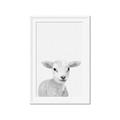 Picture of Farmhouse Sheep _GroupedProduct_Rectangle_Portrait_Mini_ _GroupedProduct_Rectangle_Portrait_Framed_Matted_