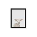 Picture of Baby Lamb _GroupedProduct_Rectangle_Portrait_Mini_ _GroupedProduct_Rectangle_Portrait_Framed_Matted_