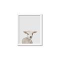 Picture of Baby Lamb _GroupedProduct_Rectangle_Portrait_Mini_ _GroupedProduct_Rectangle_Portrait_Framed_Matted_