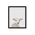 Picture of Baby Lamb _GroupedProduct_Rectangle_Portrait_Mini_ _GroupedProduct_Rectangle_Portrait_Framed_Matted_