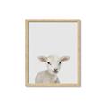 Picture of Baby Lamb _GroupedProduct_Rectangle_Portrait_Mini_ _GroupedProduct_Rectangle_Portrait_Framed_Matted_