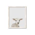 Picture of Baby Lamb _GroupedProduct_Rectangle_Portrait_Mini_ _GroupedProduct_Rectangle_Portrait_Framed_Matted_